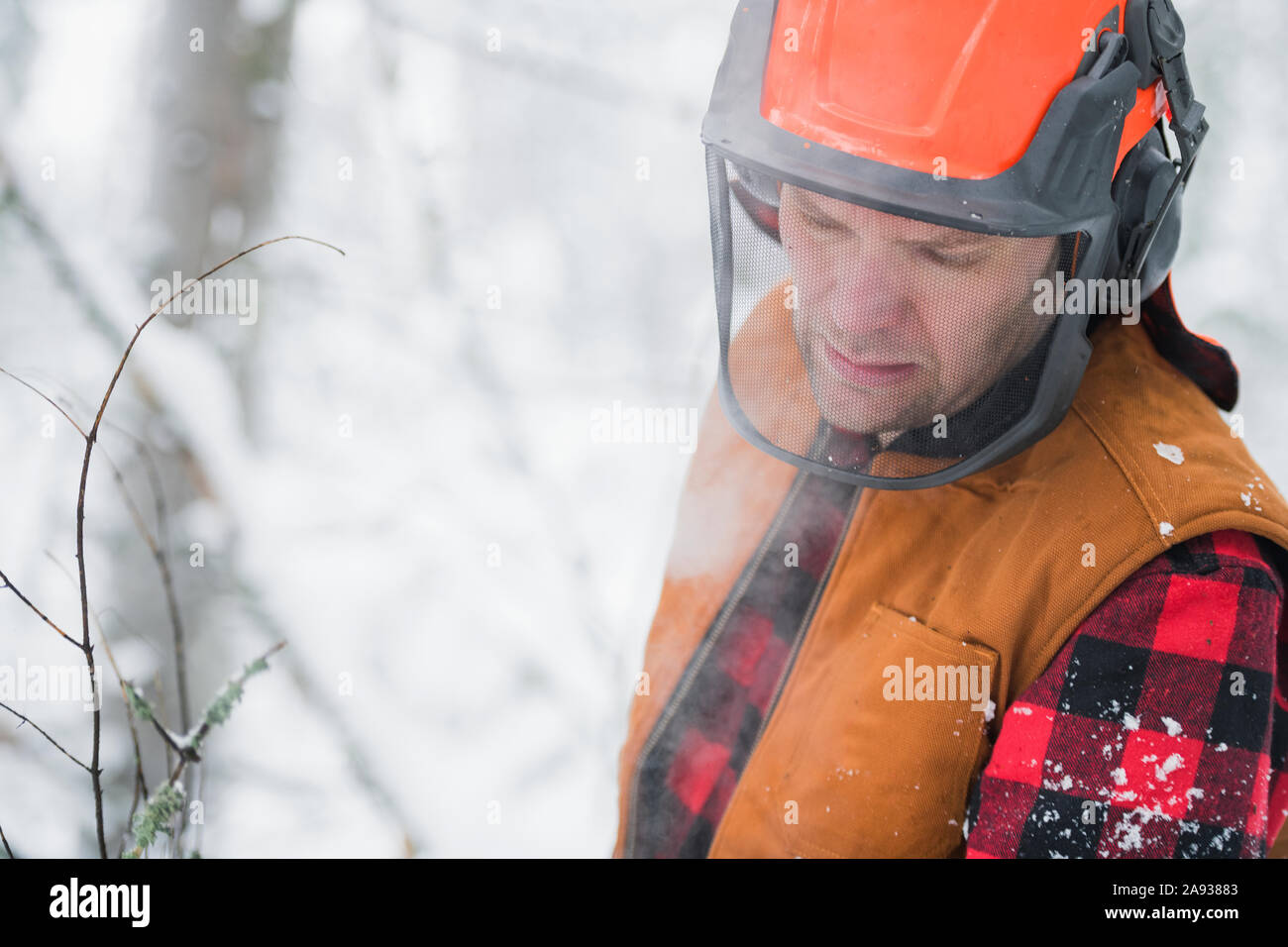 Lumberjack in foresta Foto Stock