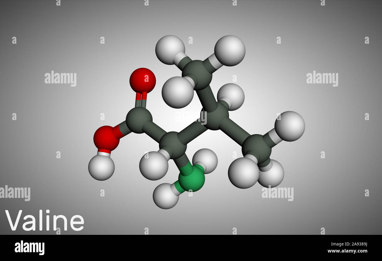 Valina, Val molecola, è -ammino acido . Esso viene utilizzato nella biosintesi delle proteine. Modello di molecola. Il rendering 3D Foto Stock