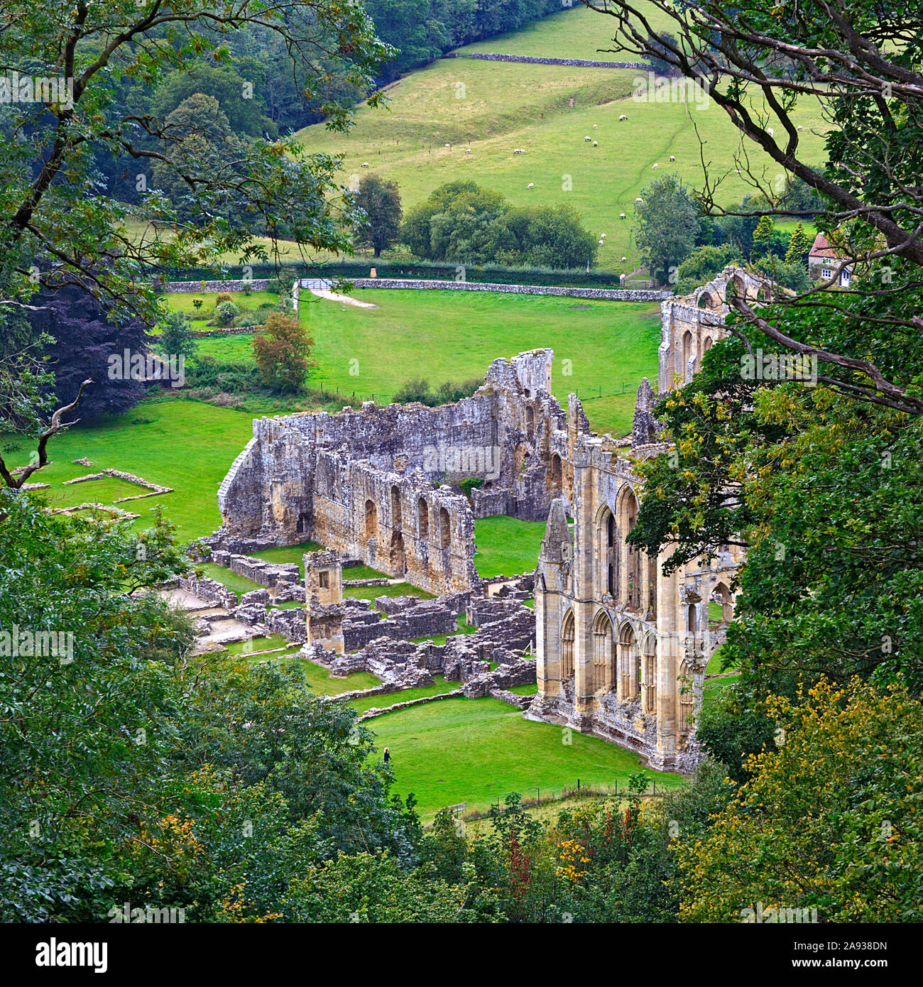 Rievaulx Abbey visto dalla terrazza di Rievaulx, Ryedale, North Yorkshire Moors, Regno Unito Foto Stock