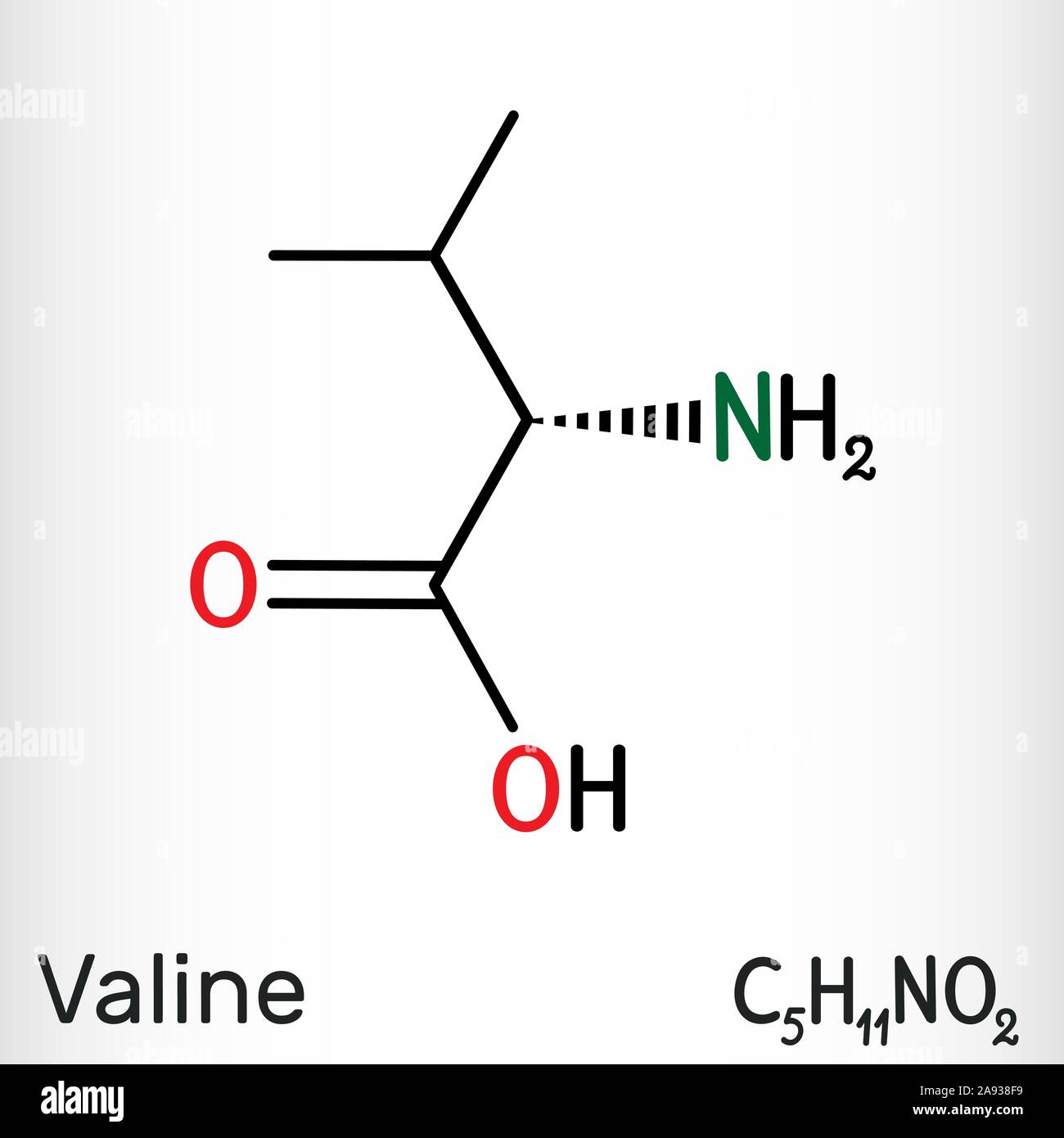 Valina, Val molecola, è -ammino acido . Esso viene utilizzato nella biosintesi delle proteine. Formula chimica di struttura. Illustrazione Vettoriale Illustrazione Vettoriale