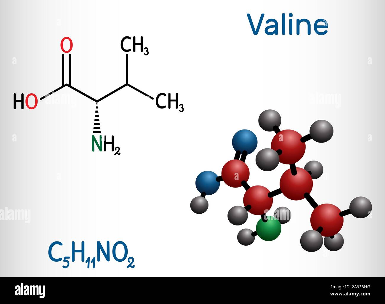 Valina, Val molecola, è -ammino acido . Esso viene utilizzato nella biosintesi delle proteine. Formula chimica di struttura e la molecola modello. Illustrazione Vettoriale Illustrazione Vettoriale