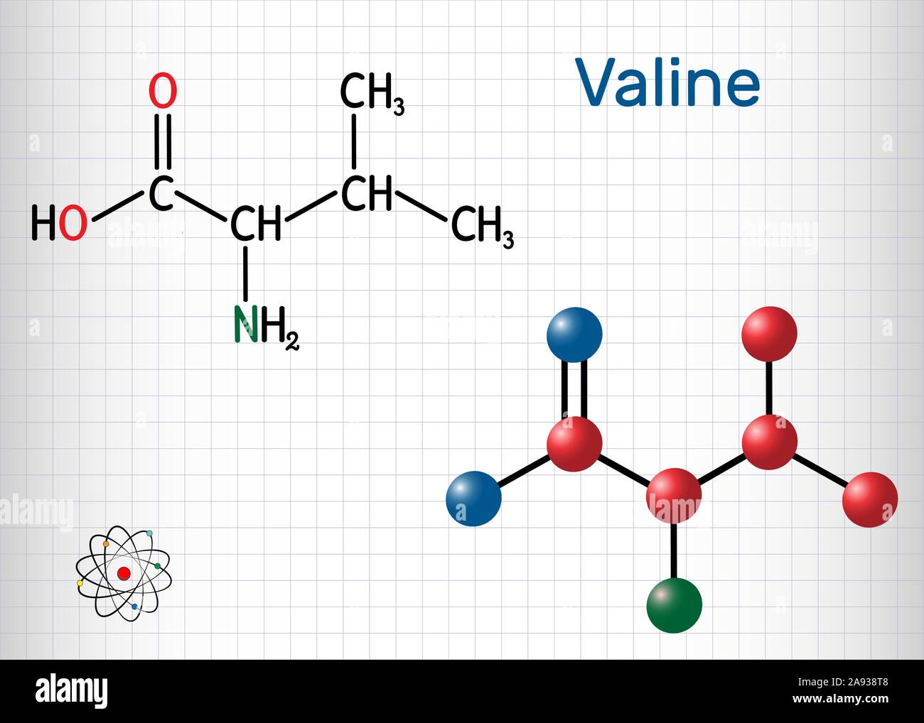 Valina, Val molecola, è -ammino acido . Esso viene utilizzato nella biosintesi delle proteine. Foglio di carta in una gabbia. Formula chimica di struttura e la molecola Illustrazione Vettoriale