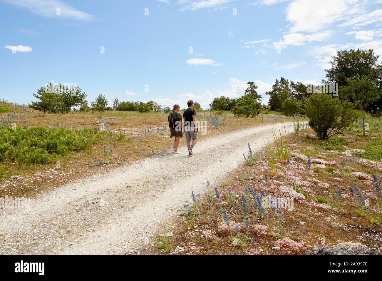 Giovane camminare insieme Foto Stock