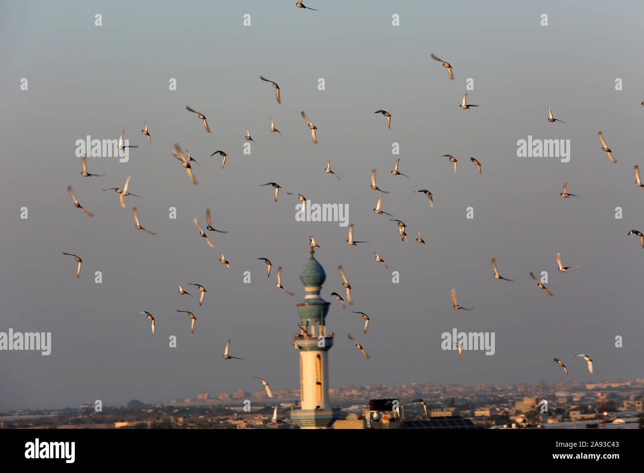 Piccioni che volano intorno al minareto di una moschea a Rafah, nella striscia meridionale di Gaza. Foto Di Abed Rahim Khatib/Alamy Foto Stock