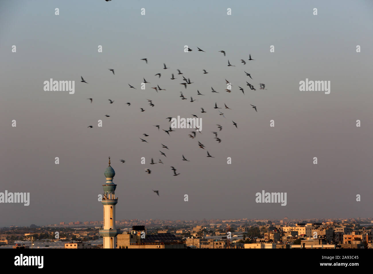 Piccioni che volano intorno al minareto di una moschea a Rafah, nella striscia meridionale di Gaza. Foto Di Abed Rahim Khatib/Alamy Foto Stock