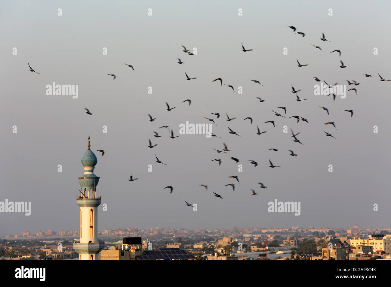 Piccioni che volano intorno al minareto di una moschea a Rafah, nella striscia meridionale di Gaza. Foto Di Abed Rahim Khatib/Alamy Foto Stock