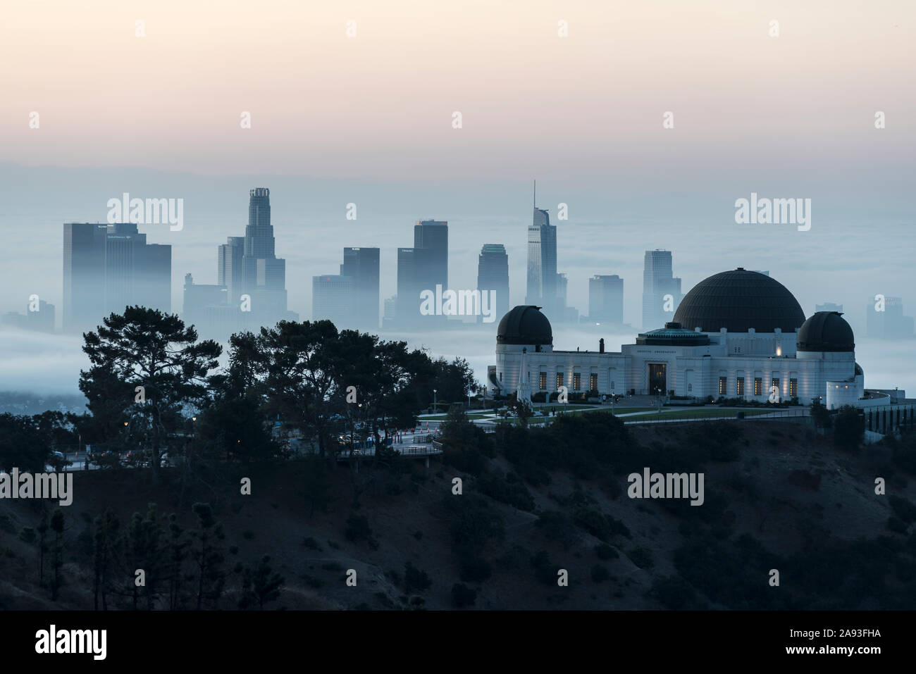 Los Angeles, California, Stati Uniti d'America - 10 Novembre 2019: nebbiosa mattina presto vista del centro cittadino di Los Angeles e il Parco Osservatorio Griffith. Foto Stock