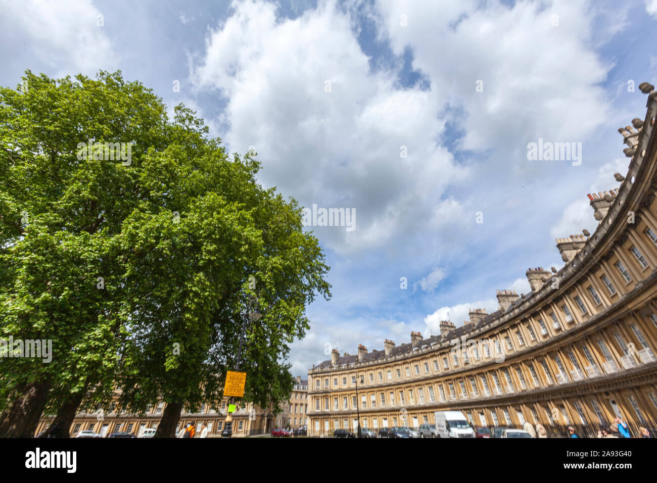 Platani, Platanus, nella zona centrale del Circus è una strada storica di grandi case a schiera in bagno, Somerset, Inghilterra, Regno Unito Foto Stock