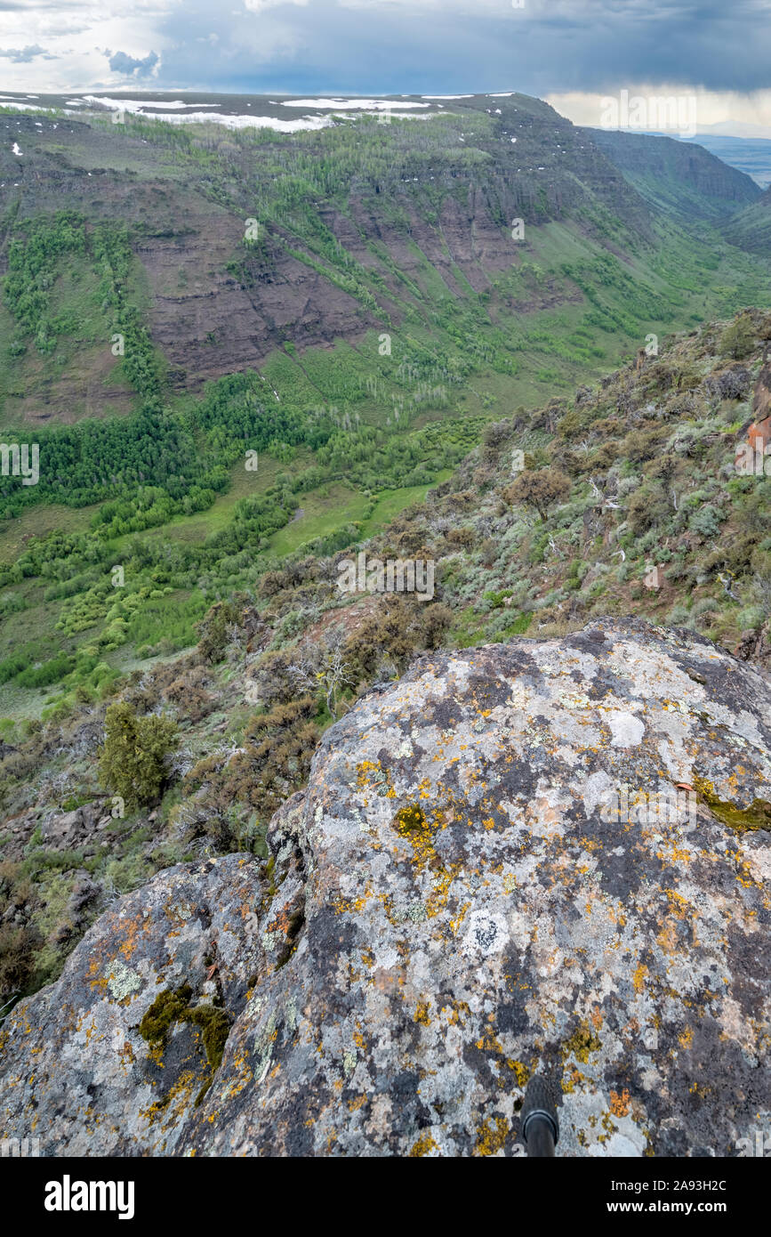 Poco Blitzen Gorge, Steens Mountain, Oregon. Foto Stock