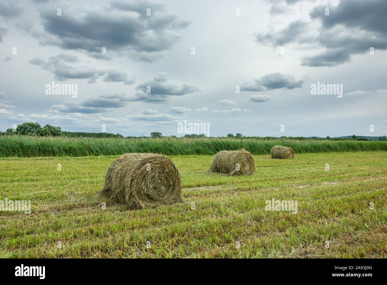 Balle di erba del prato e nuvole grigie sul cielo. Stankow, Polonia Foto Stock