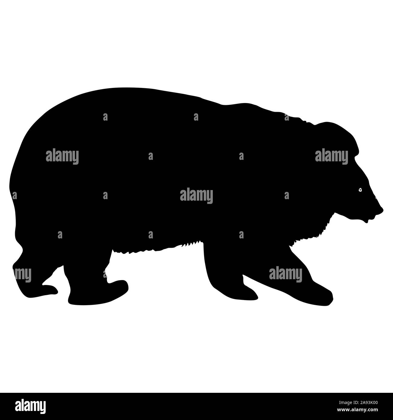 Silhouette orso bruno su uno sfondo bianco. Foto Stock