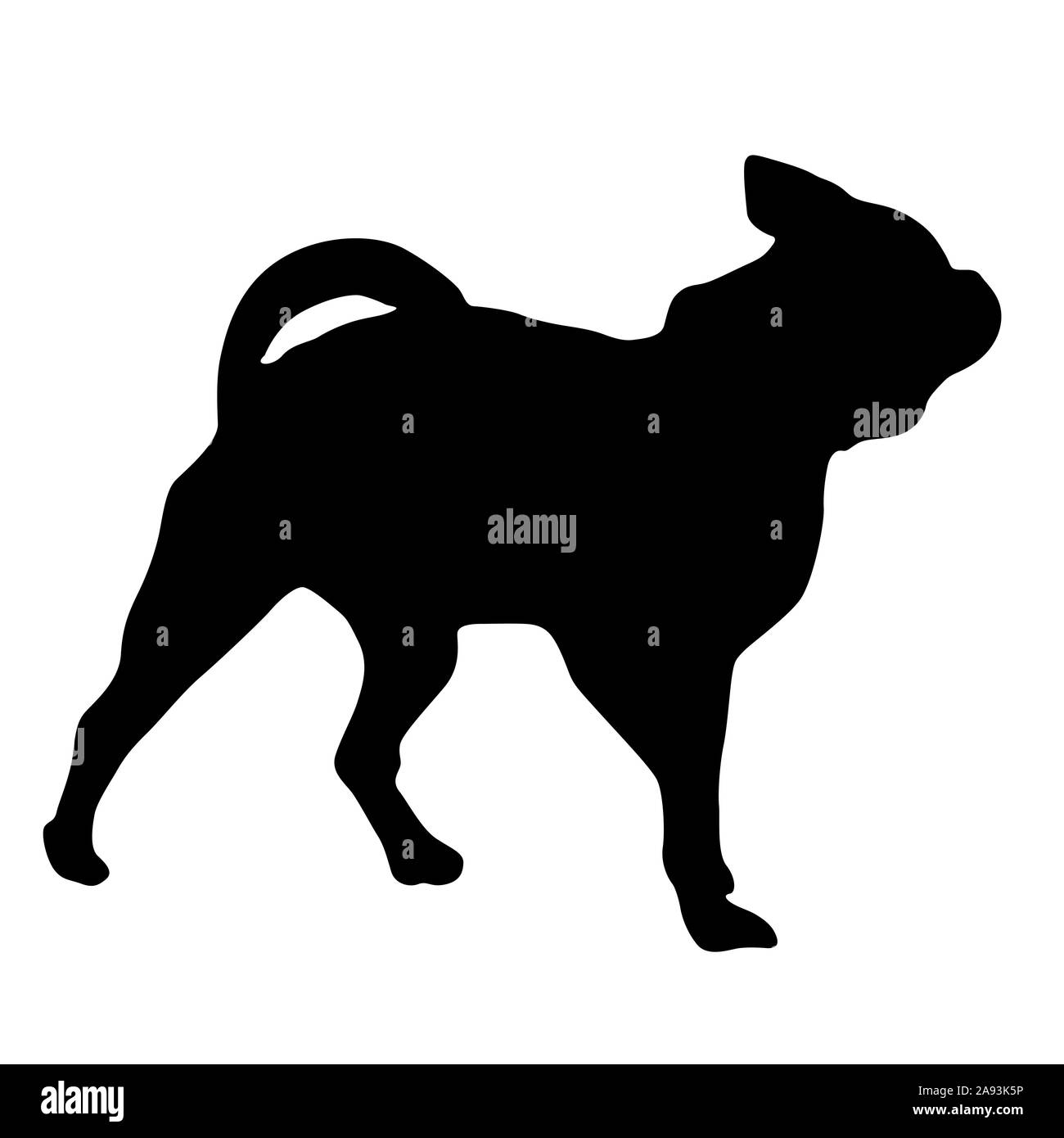 Chihuahua cane silhouette su uno sfondo bianco. Foto Stock