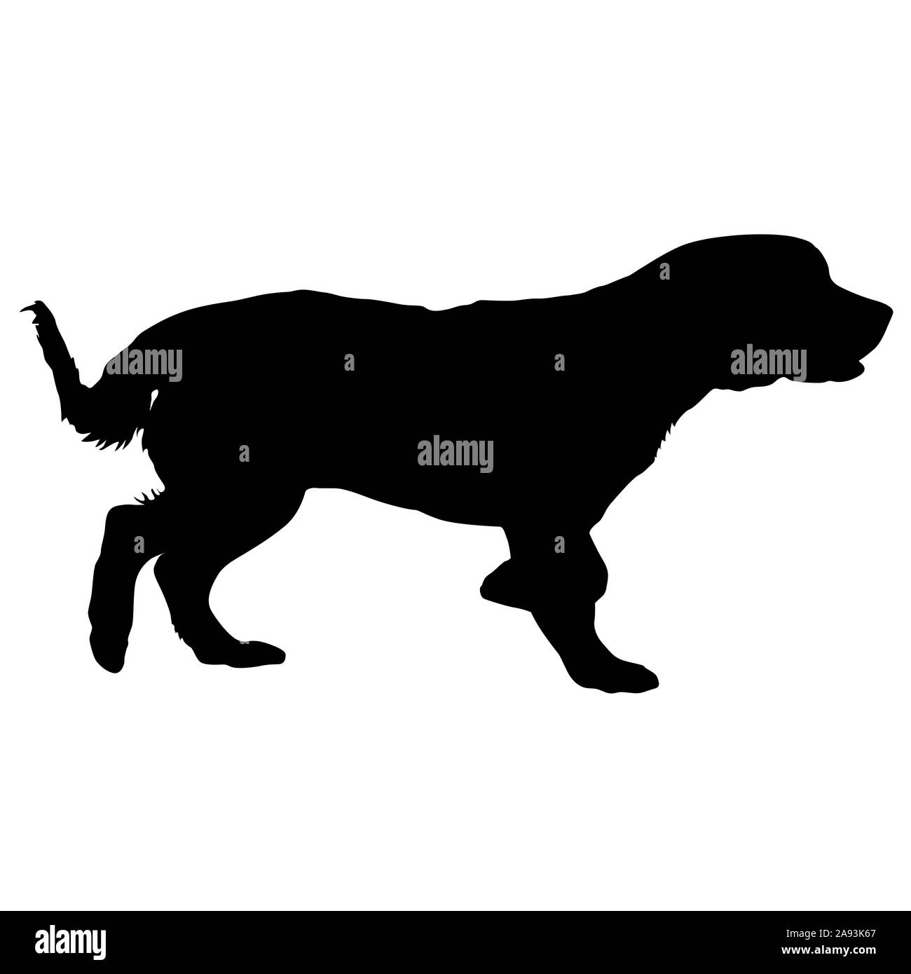 Spaniel cane silhouette su uno sfondo bianco. Foto Stock
