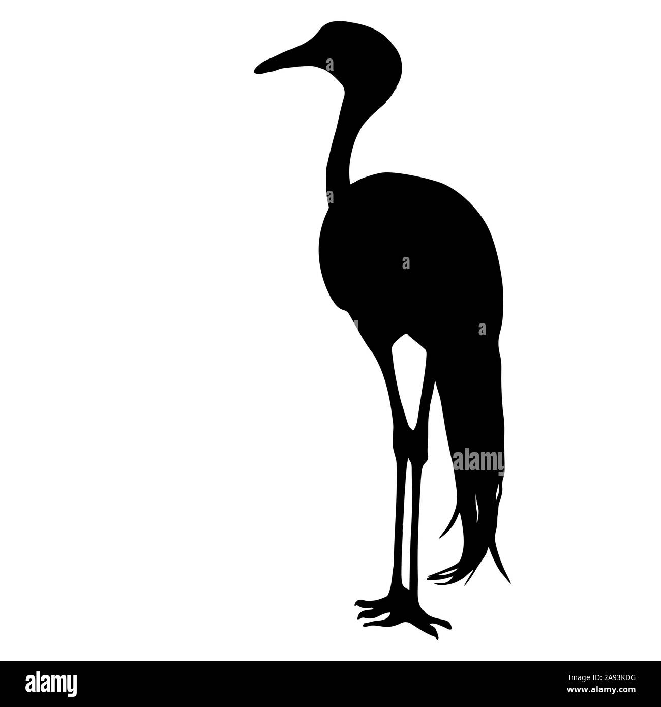 Silhouette bird gru su uno sfondo bianco. Foto Stock