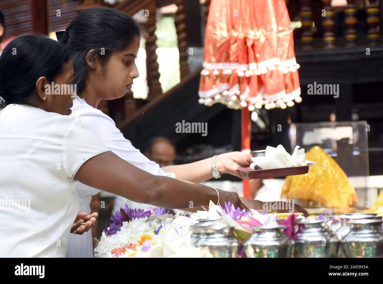 Colombo, Sri Lanka. Xii Nov, 2019. Devoti buddisti sono visti in un tempio per celebrare il Il Full Moon Poya giorno di Colombo, Sri Lanka, nov. 12, 2019. Poya day è un mensile vacanze in Sri Lanka, segnando la luna piena. Credito: Gayan Sameera/Xinhua/Alamy Live News Foto Stock