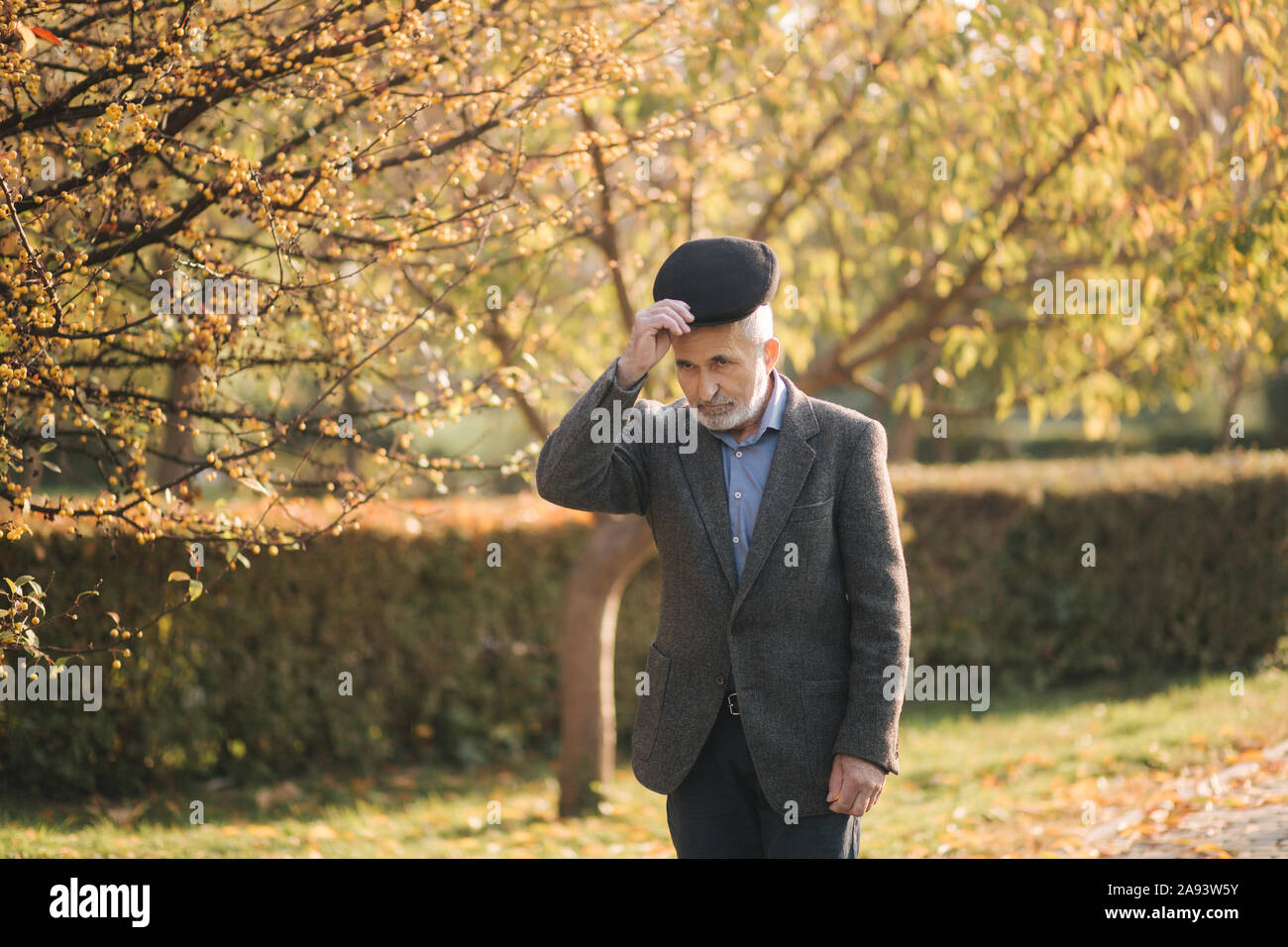 Bel uomo anziano mettendo su una giacca grigia e cappello nero. Old grey-haired uomo barbuto a piedi nel parco d'autunno. Sfondo giallo Foto Stock