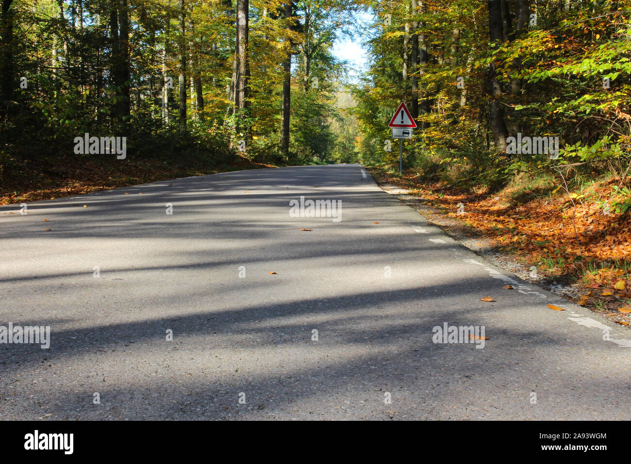 La strada attraverso autunno foresta colorata con segnaletica di pericolo non asfaltata striscia di bordo, la messa a fuoco su oggetti in primo piano Foto Stock