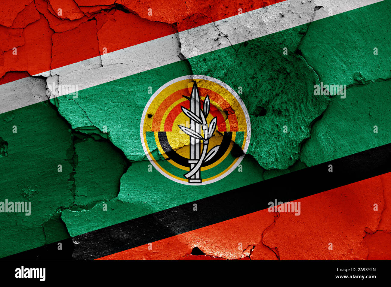Bandiera dell'esercito israeliano dipinta sulla parete incrinato Foto Stock