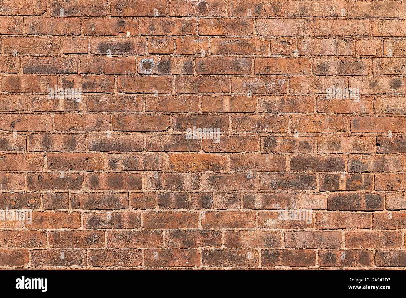 Muro di mattoni dettaglio. Foto Stock