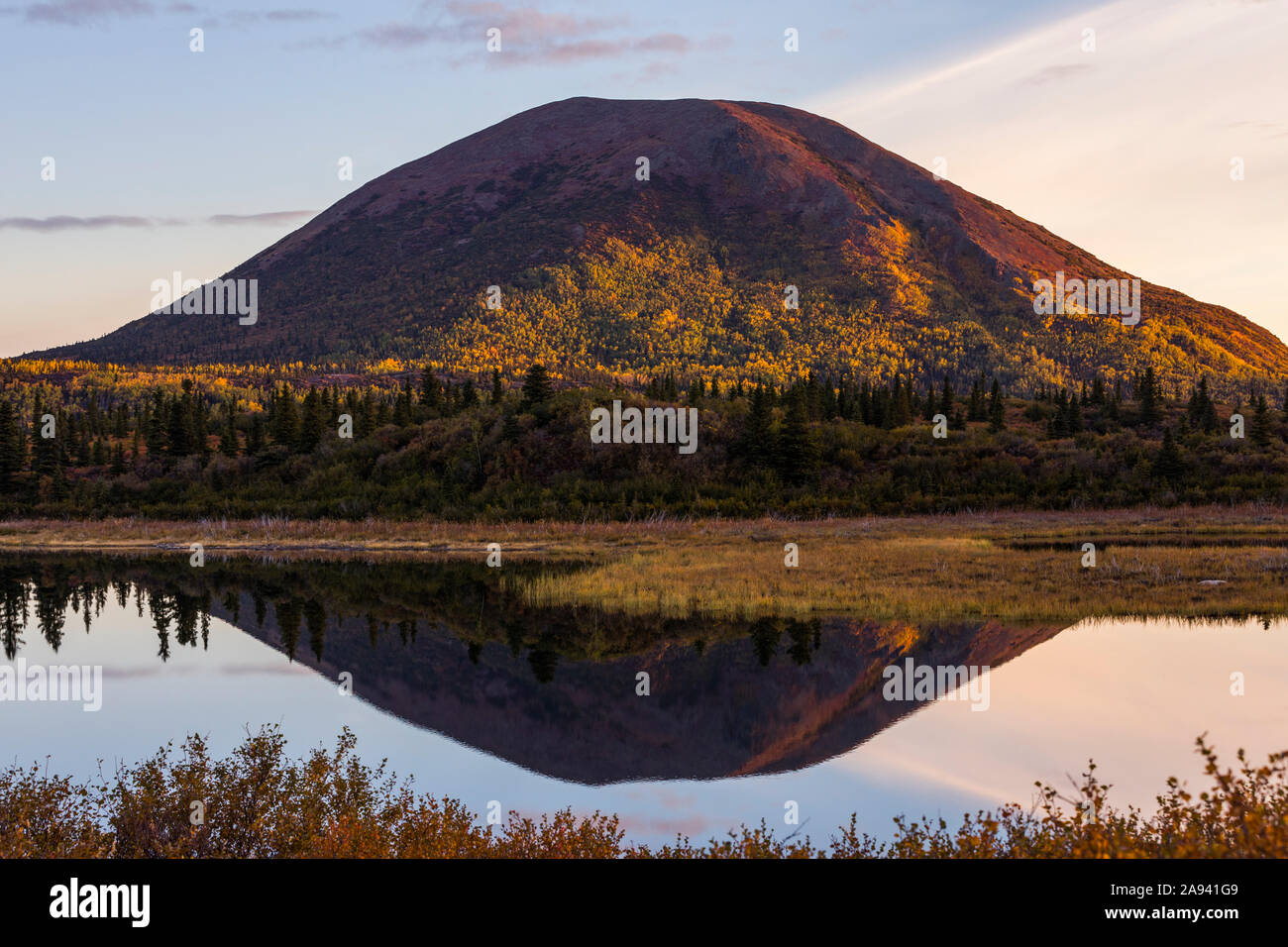 Donnelly Dome si riflette nel lago Donnelly all'alba in autunno; Alaska, Stati Uniti d'America Foto Stock