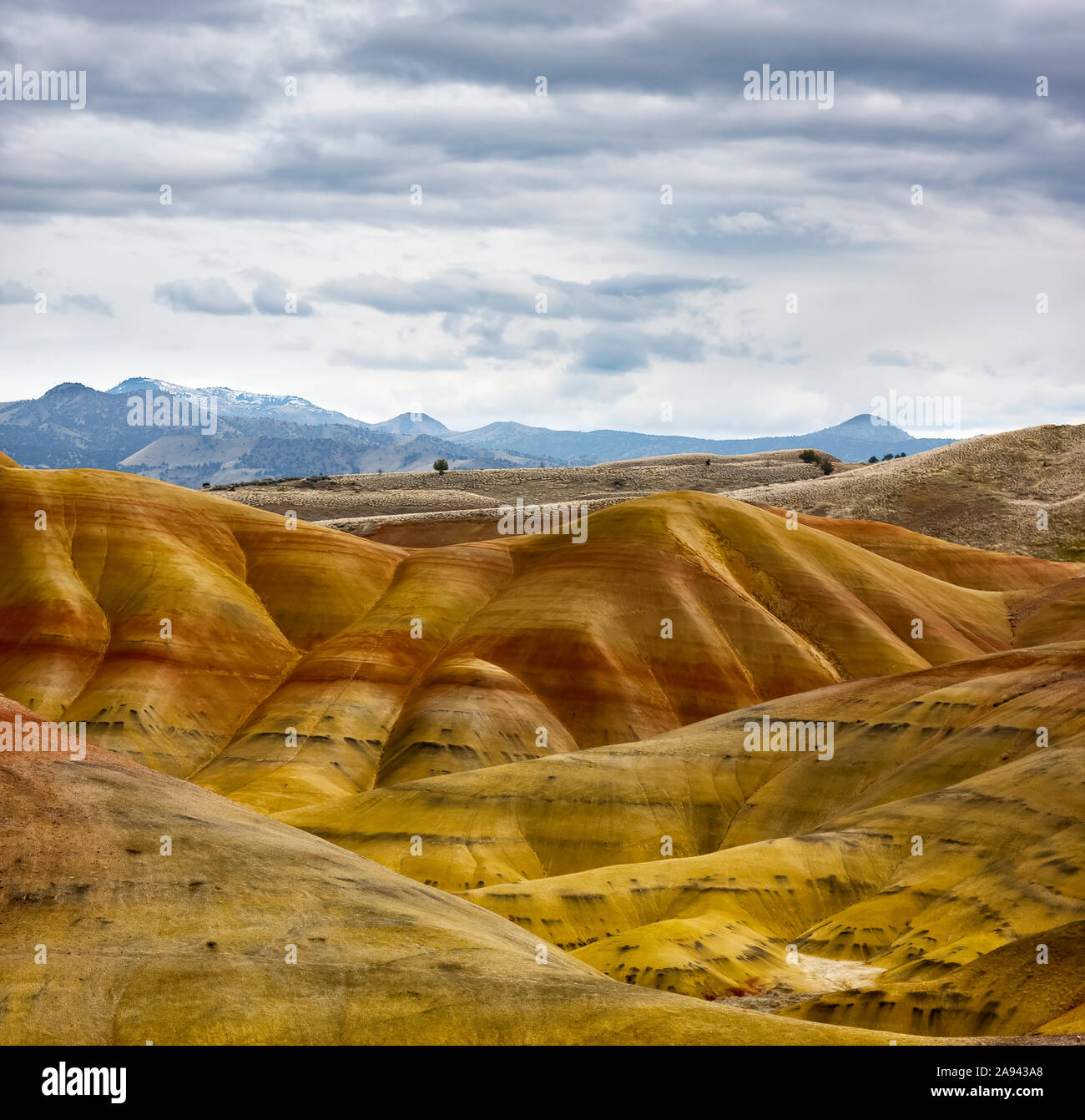 Painted Hills, John Day Fossil Beds National Monument; Oregon, Stati Uniti d'America Foto Stock