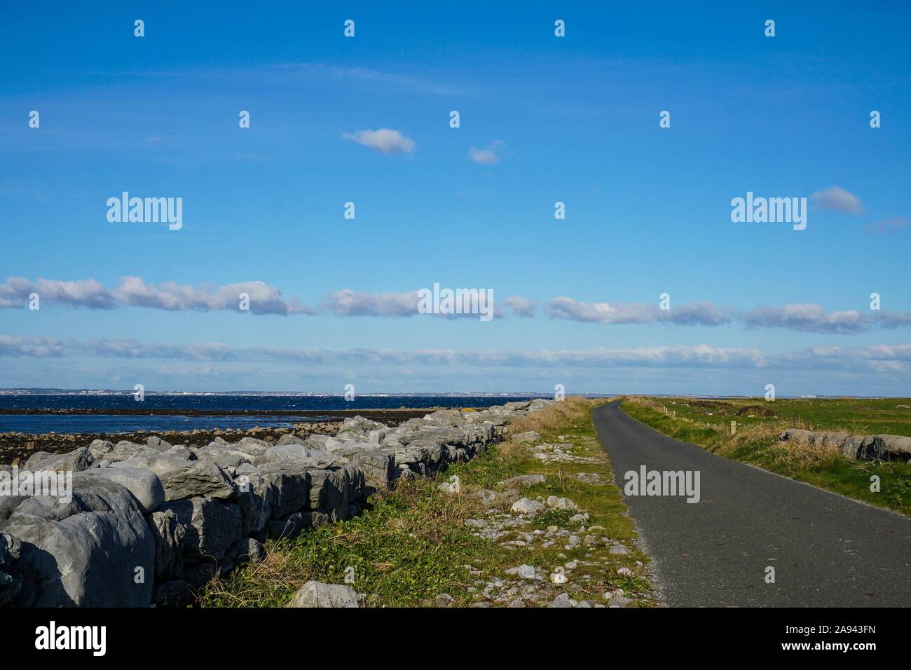 Cane a camminare su The Burren, Irlanda Foto Stock