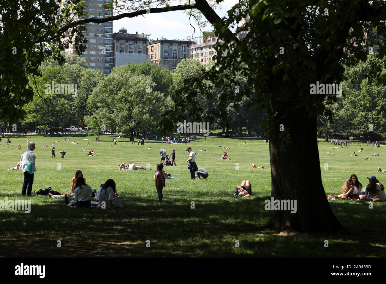Le persone a rilassarsi nel sole di mezzogiorno in Sheep Meadow nel Central Park di New York Foto Stock