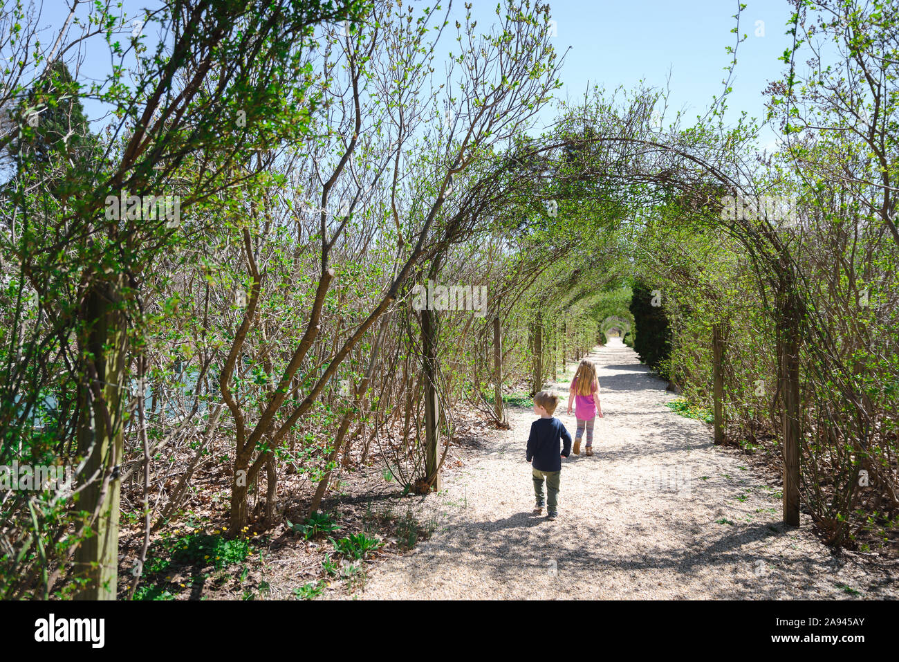 Due bambini a piedi lungo un sentiero incorniciata dagli alberi. Foto Stock