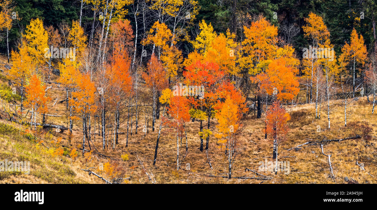 Le Cascades e la Okanagan Valley in colori autunnali; British Columbia, Canada Foto Stock