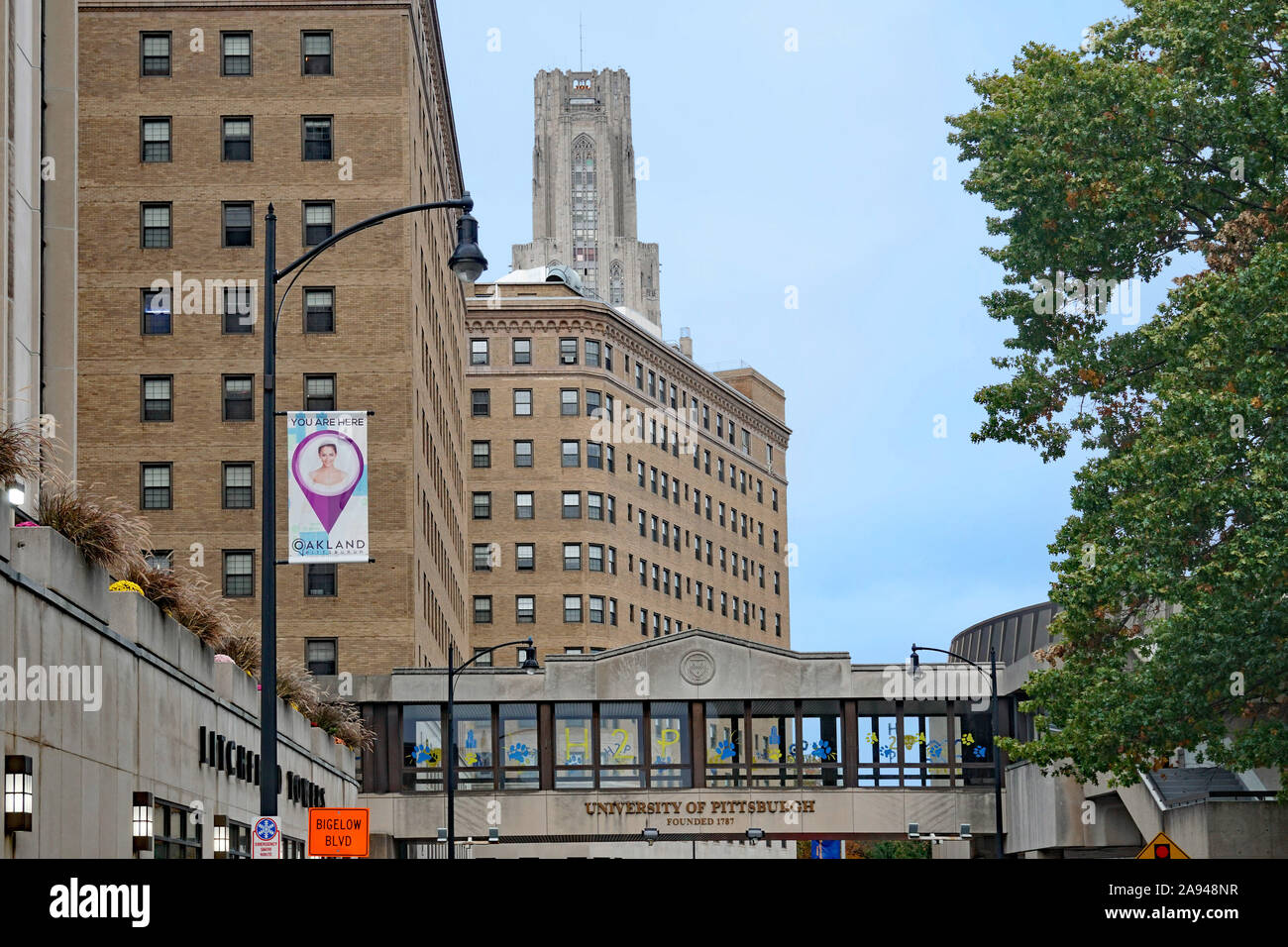 PITTSBURGH - Novembre 2019: ingresso all'Università di Pittsburgh campus, con la Cattedrale di apprendimento in background. Foto Stock