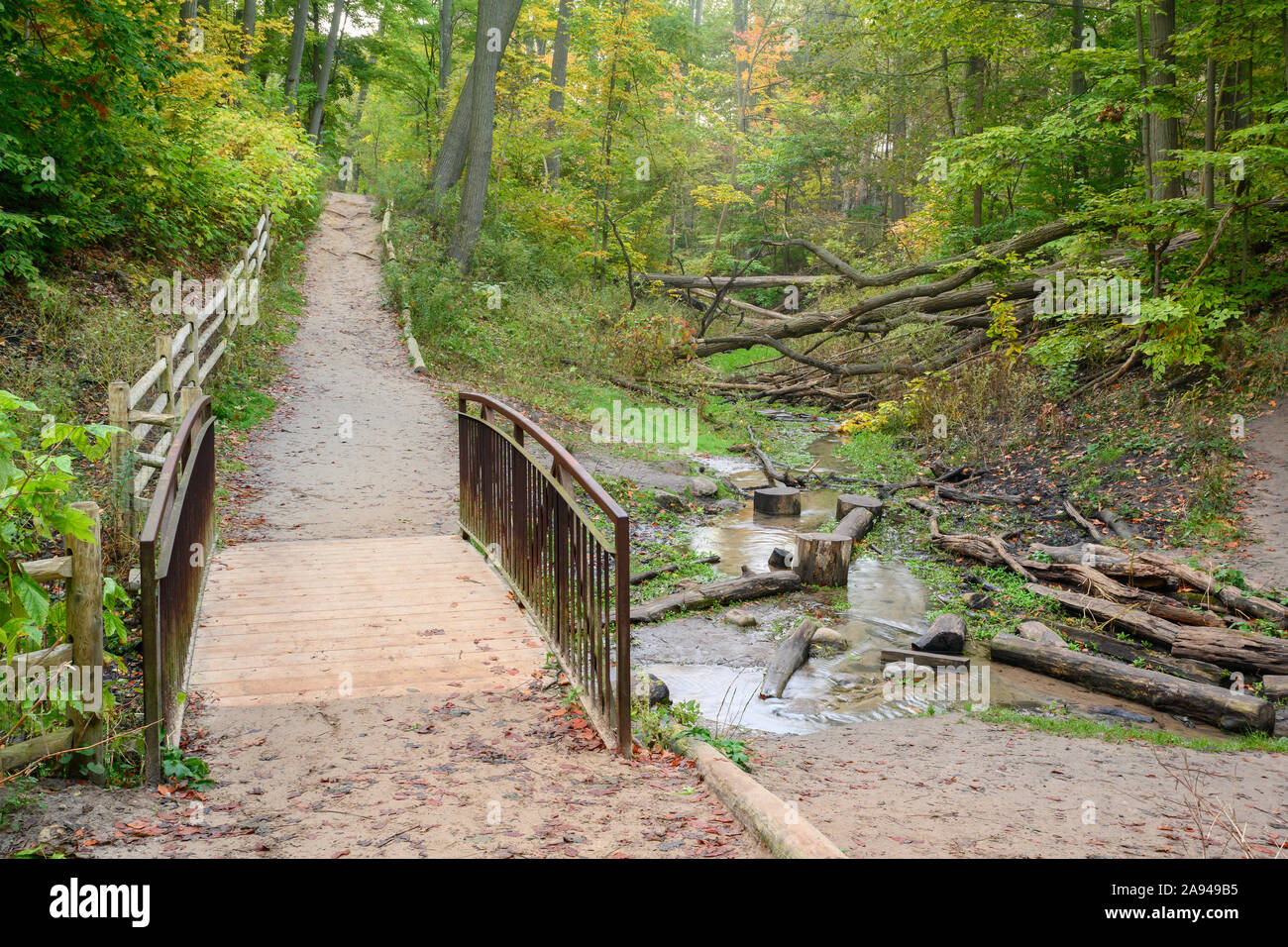 Un piccolo ponte attraversa Ames Creek in Glen Stewart orrido, situato nel quartiere di spiagge di Toronto, Canada. Foto Stock