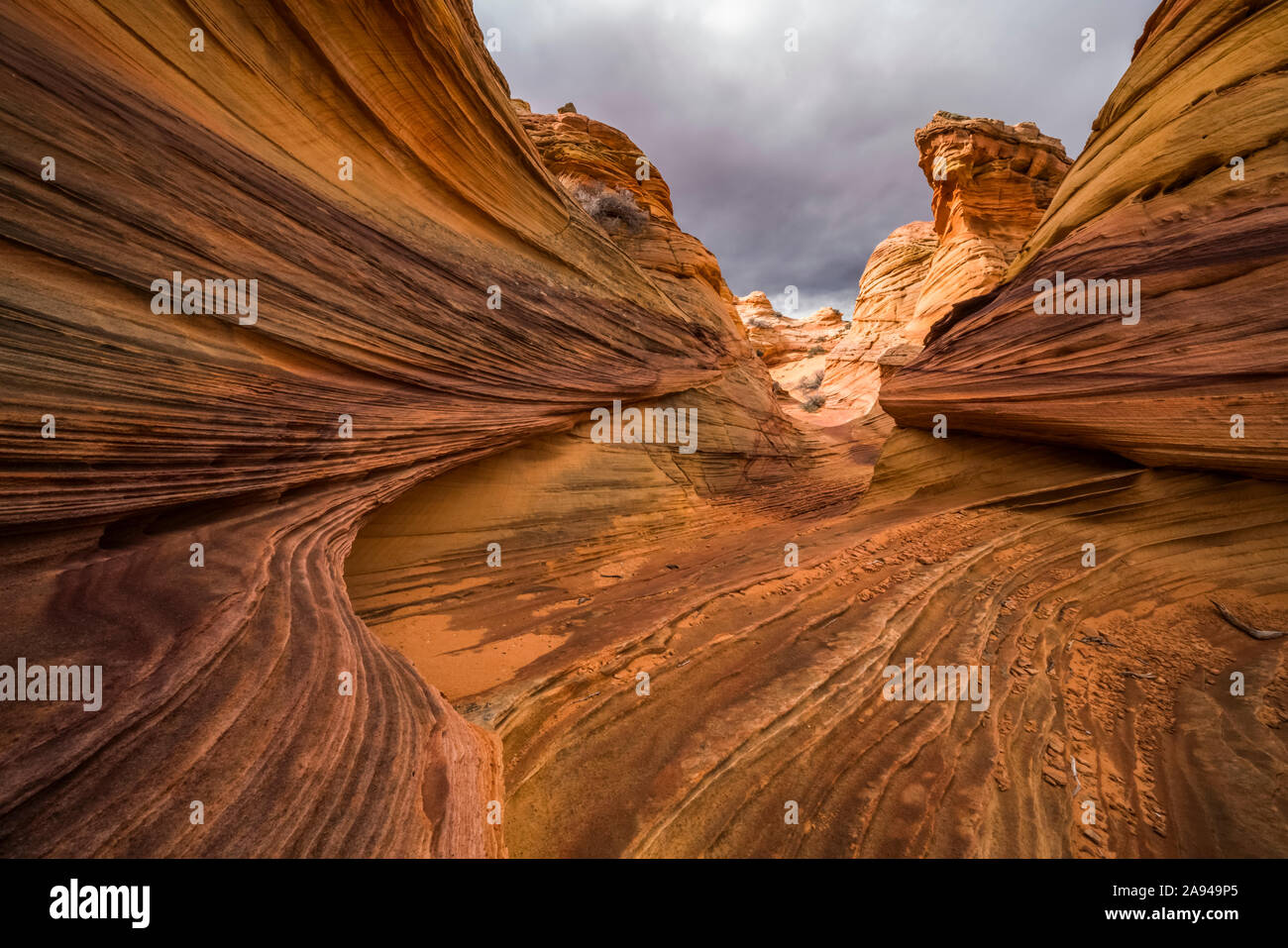 Le incredibili formazioni di arenaria e roccia di South Coyote Butte; Arizona, Stati Uniti d'America Foto Stock