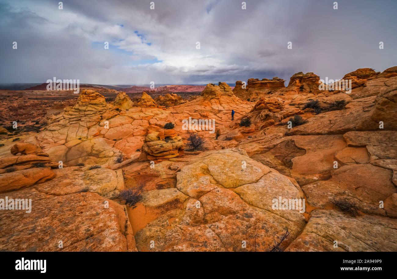 Le incredibili formazioni di arenaria e roccia di South Coyote Butte; Arizona, Stati Uniti d'America Foto Stock