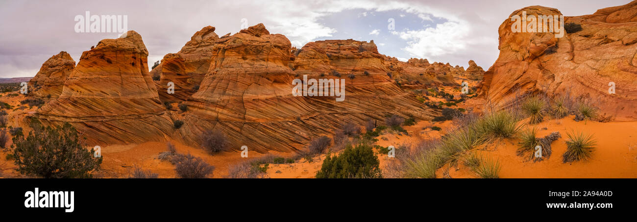 Le incredibili formazioni di arenaria e roccia di South Coyote Butte; Arizona, Stati Uniti d'America Foto Stock