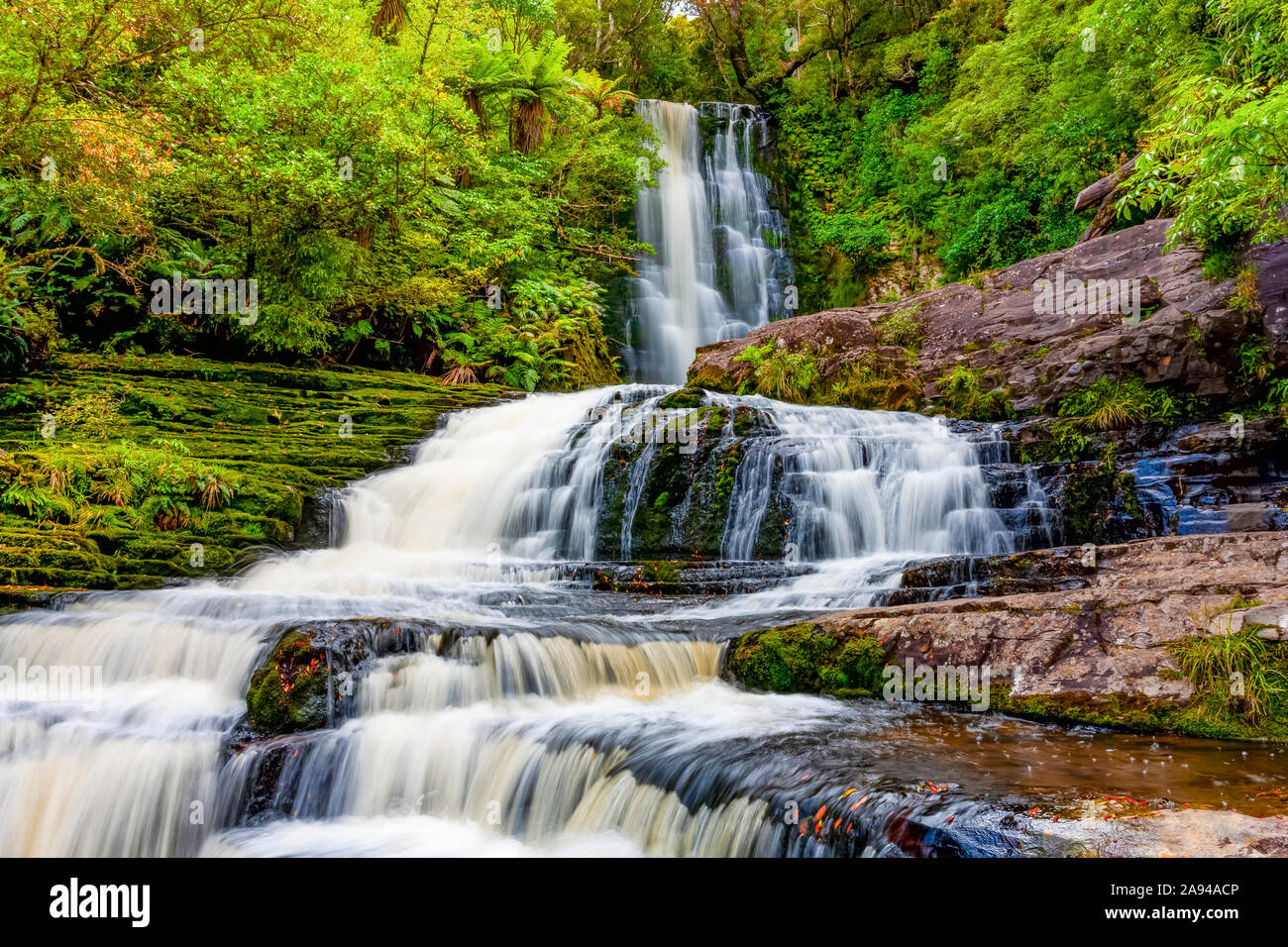 McLean Falls, fiume Tautuku, Catlins Forest Park; Otago Region, Nuova Zelanda Foto Stock