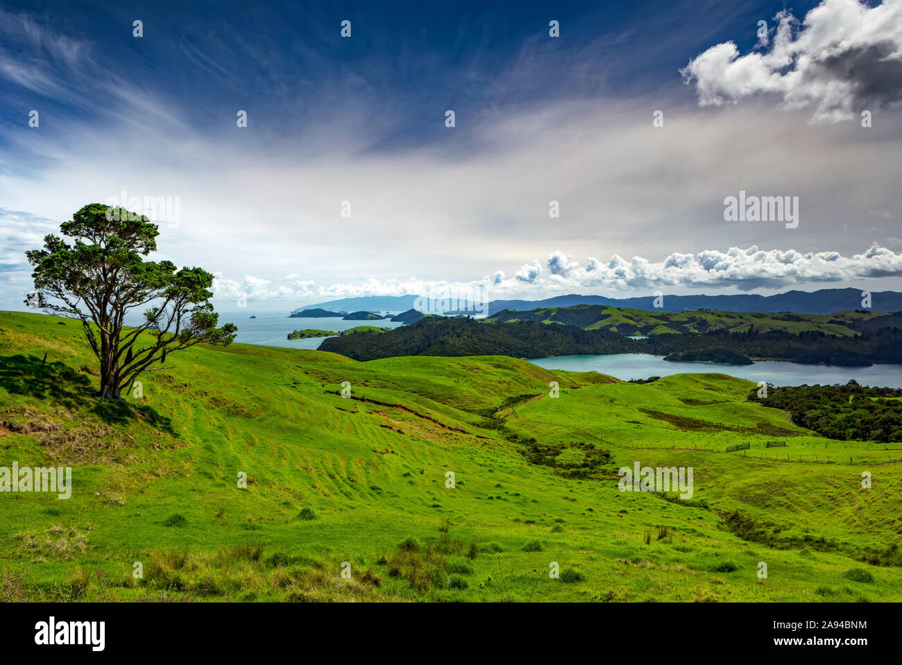 Penisola di Coromandel, Oceano Pacifico del Sud; Isola del Nord, Nuova Zelanda Foto Stock