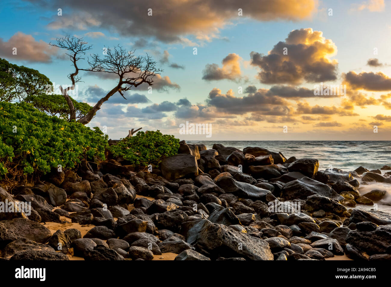 Alba sull'Oceano Pacifico dalle rocce sulla riva di Kauai; Kauai, Hawaii, Stati Uniti d'America Foto Stock