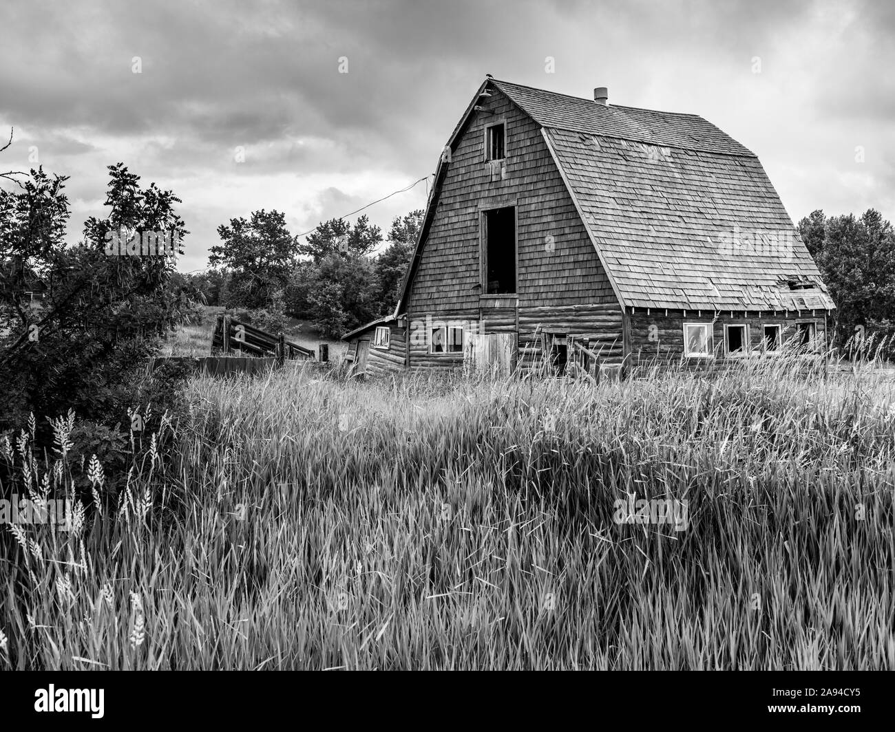 Vecchio fienile sulle praterie canadesi, contea di Parkland; Alberta, Canada Foto Stock