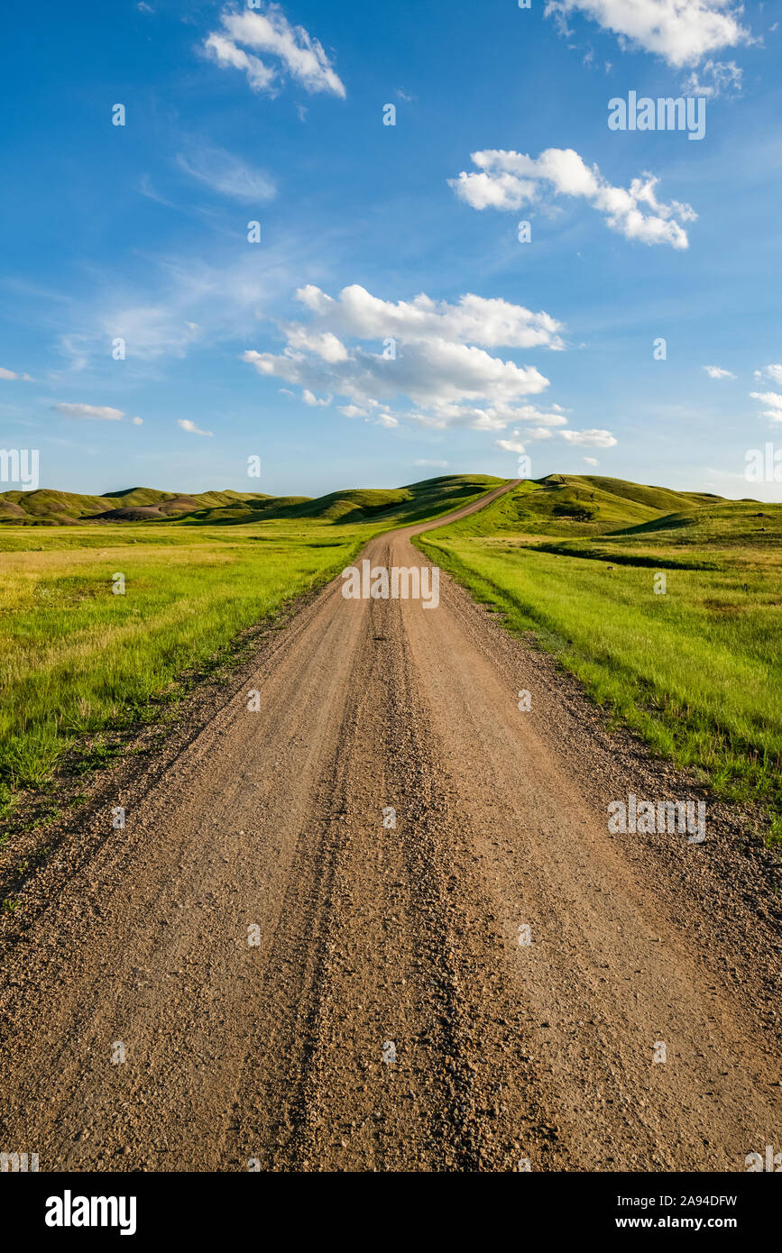 Strada sterrata che porta in lontananza, Prasslands National Park; Val Marie, Saskatchewan, Canada Foto Stock