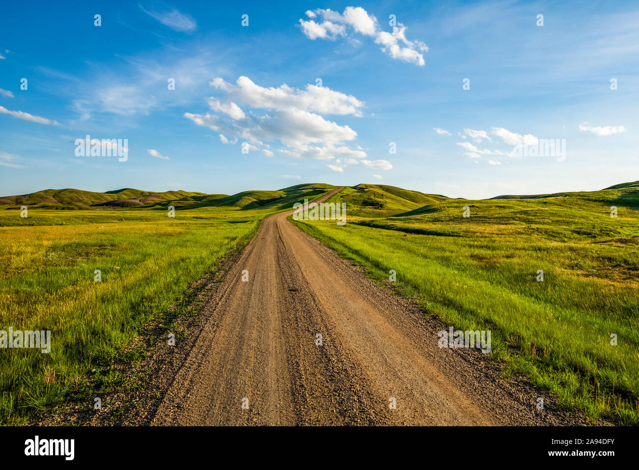 Strada sterrata che porta in lontananza, Prasslands National Park; Val Marie, Saskatchewan, Canada Foto Stock