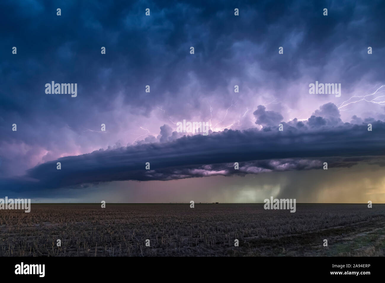 Tempesta drammatica nuvole con fulmini e pioggia su terreni agricoli; Guymon, Oklahoma, Stati Uniti d'America Foto Stock