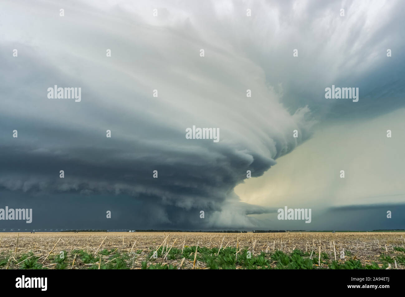 Drammatiche nubi di tempesta oscura su terreni agricoli; Imperial, Nebraska, Stati Uniti d'America Foto Stock
