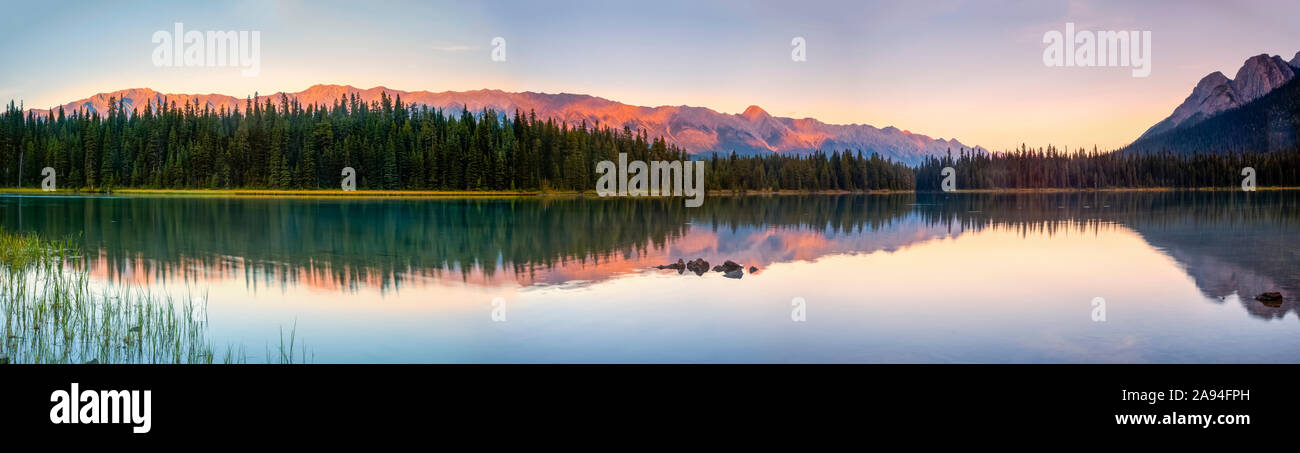 Lago tranquillo con riflessi nel parco provinciale di Elk Lakes al tramonto; British Columbia, Canada Foto Stock