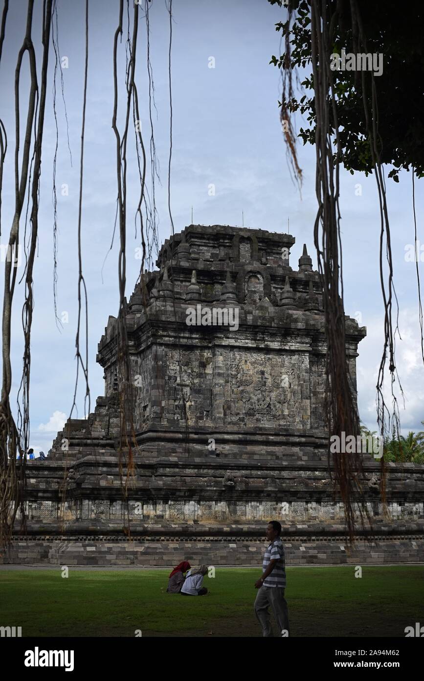 Tempio di Mendut con radici aeree di un alto ficus in primo piano. Foto Stock