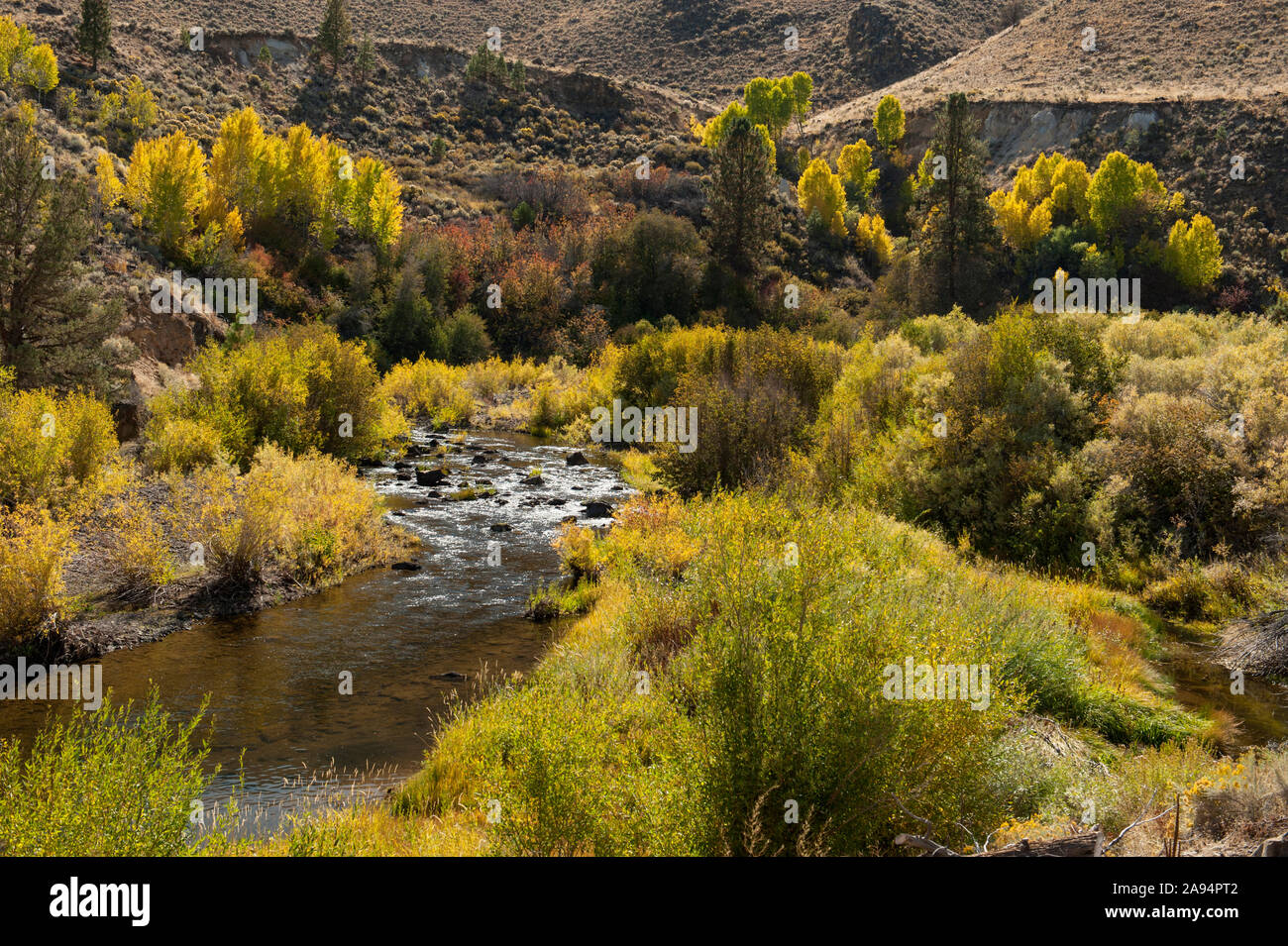 Deep Creek, nella parte orientale di Oregon deserto vicino Adel. Foto Stock