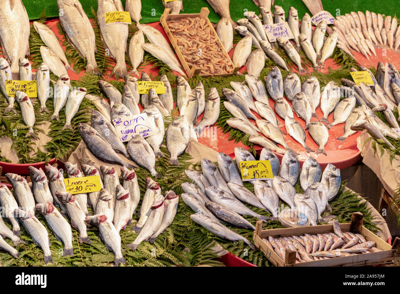 Istanbul, Turchia - Novembre-11.2019: pesce di mare su un contatore al mercato del pesce, Istanbul, Turchia Foto Stock