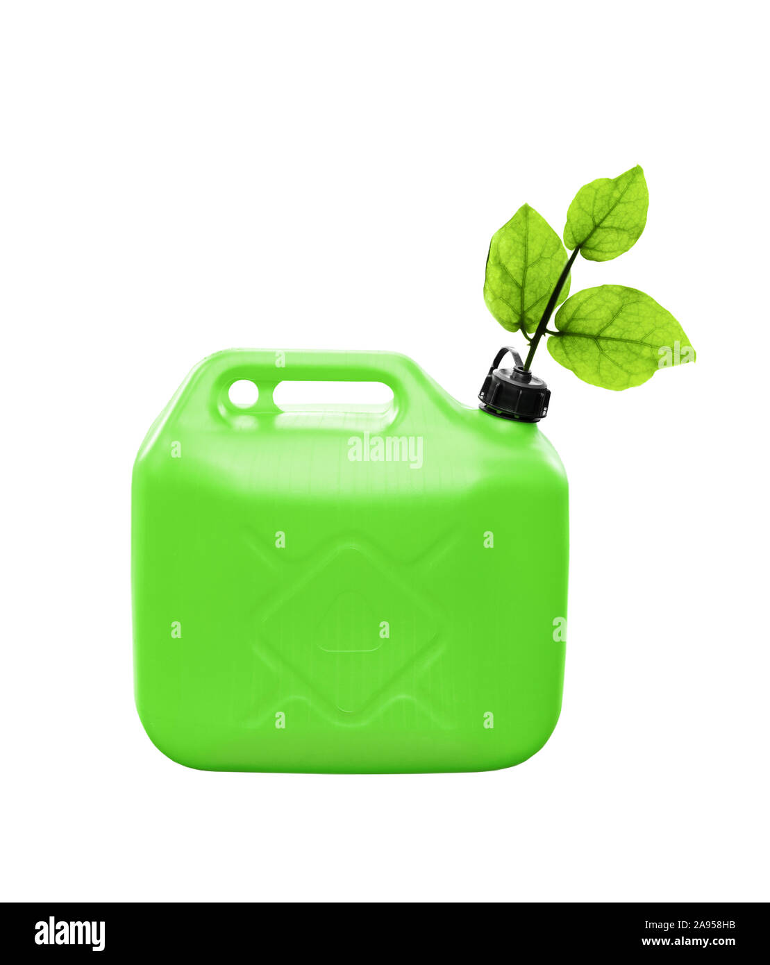 Concetto di un combustibile ecologico. Fresche foglie di piante di coltivazione da un verde Bidone in plastica isolato su sfondo bianco Foto Stock
