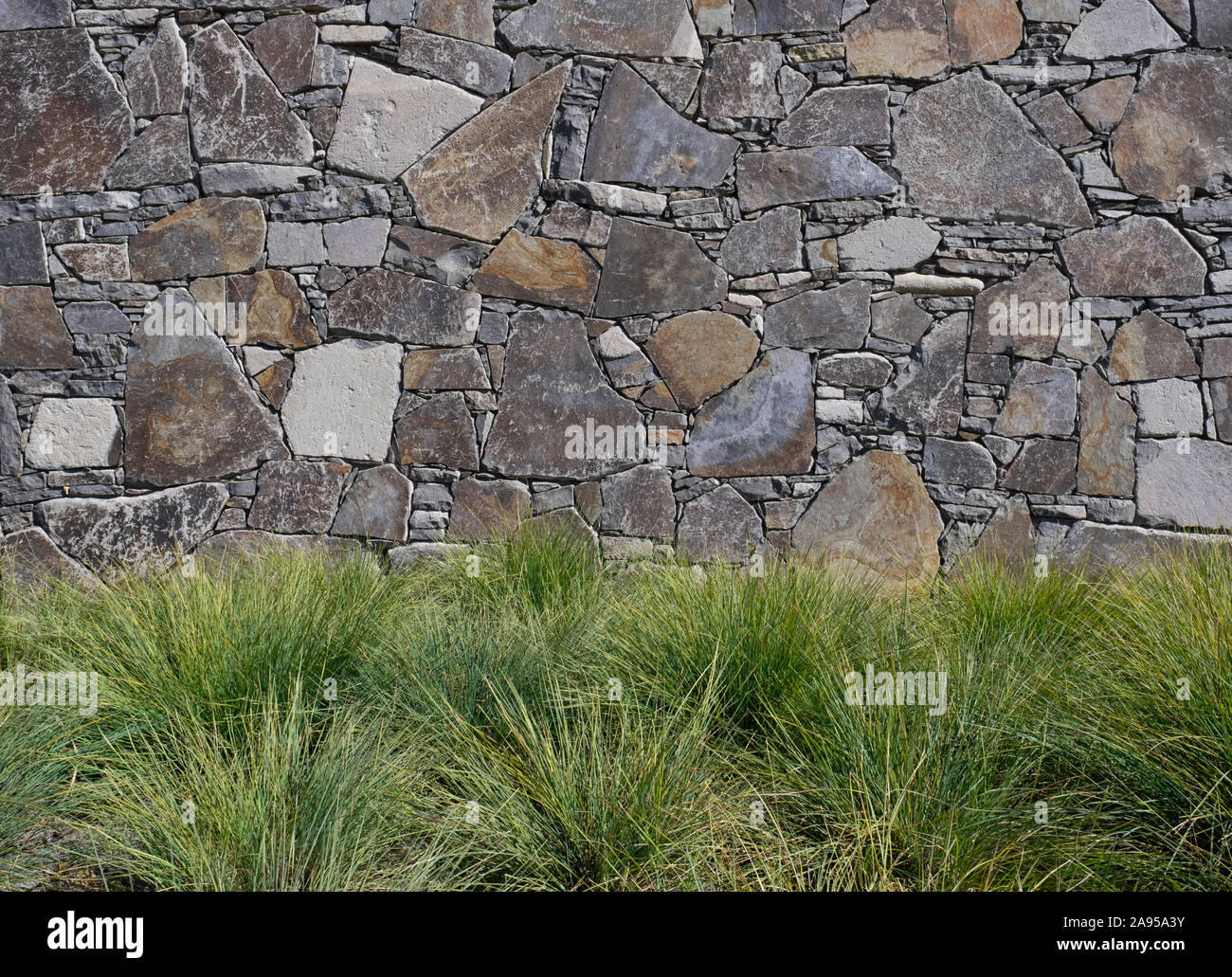 La piantagione di massa di erbe in un paesaggio contro un muro di pietra in una giornata di sole Foto Stock