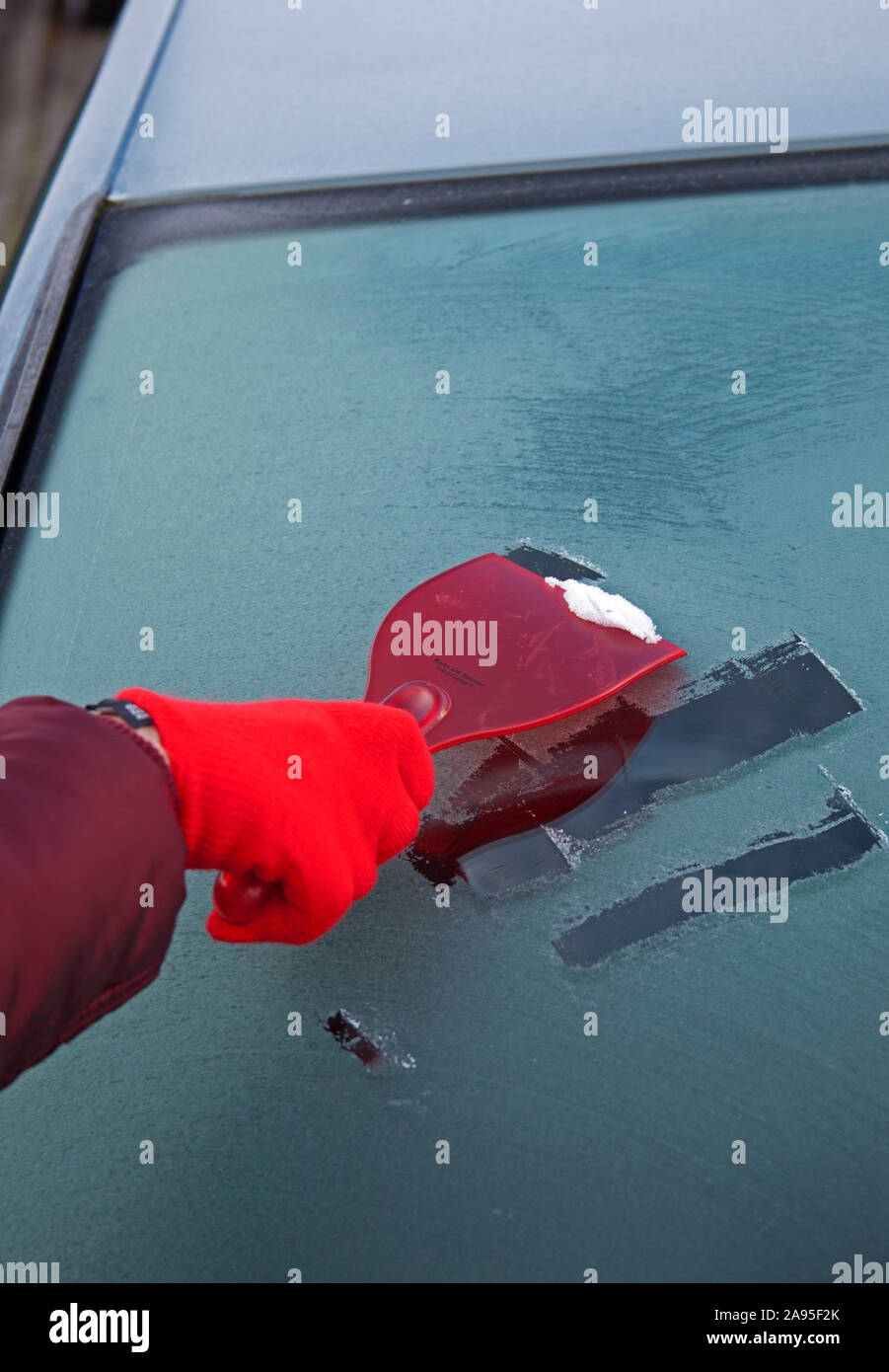 Edimburgo, Scozia, Regno Unito. Il 13 novembre 2019. La raschiatura parabrezza del veicolo durante il gelo pesante, con il rosso il raschiatore e guanti, ma sun è fuori per riscaldare le cose un po'. Foto Stock