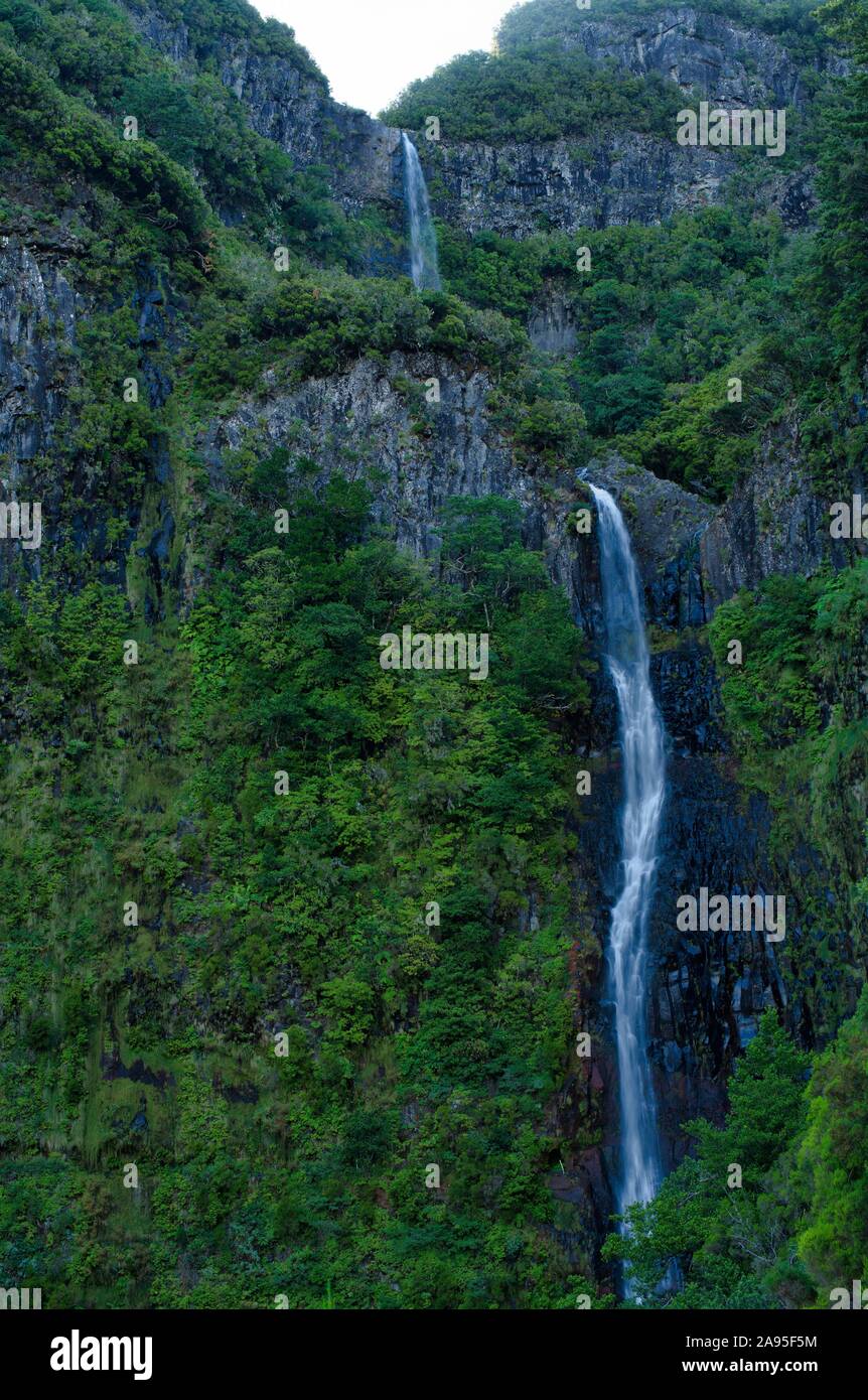 Cascata do risco, Risco cascata, in Laurisilva foresta laurel, Rabacal riserva naturale, l'isola di Madeira, Portogallo Foto Stock